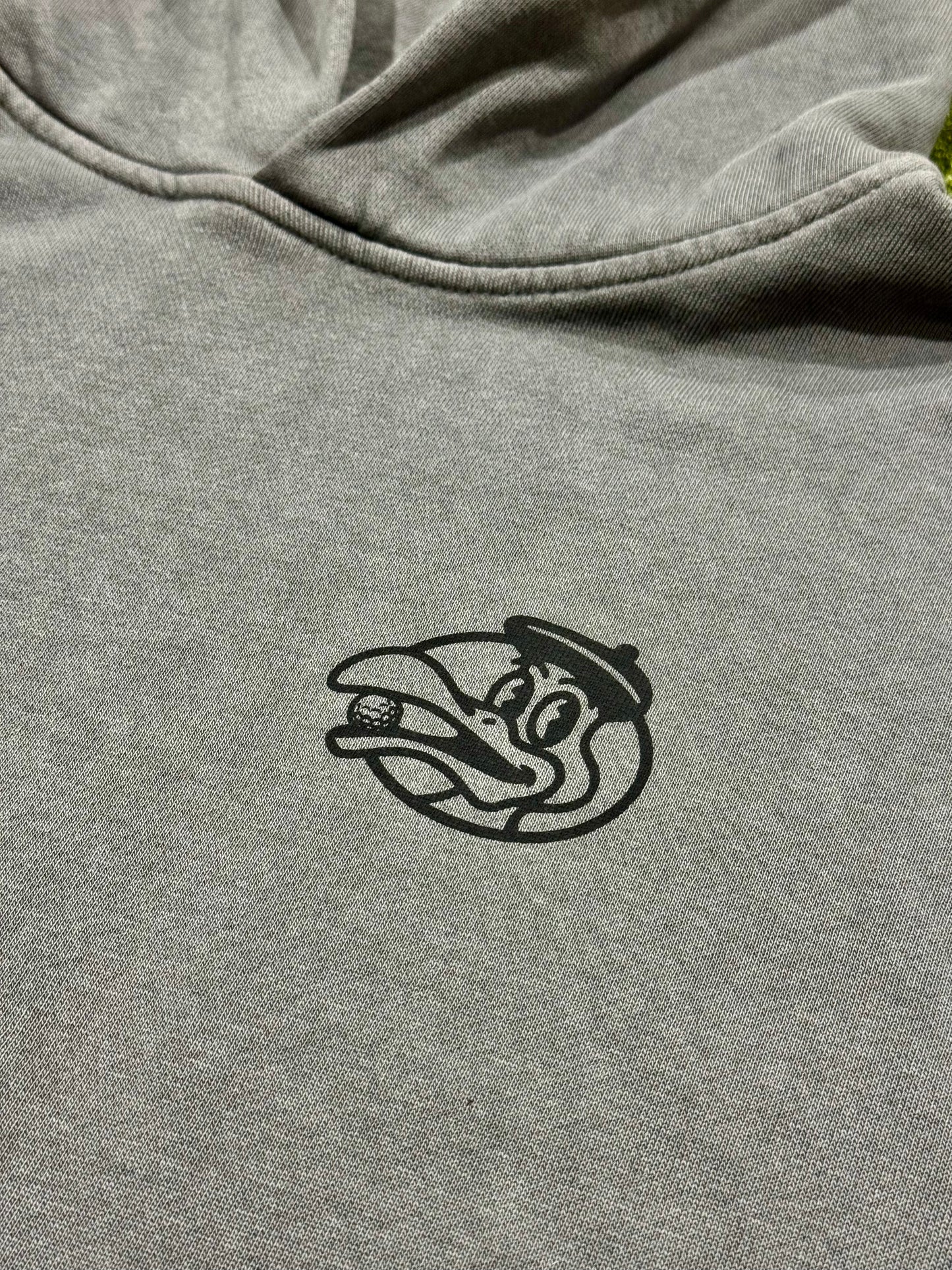 Birdhouse Garment Dyed Hoodie